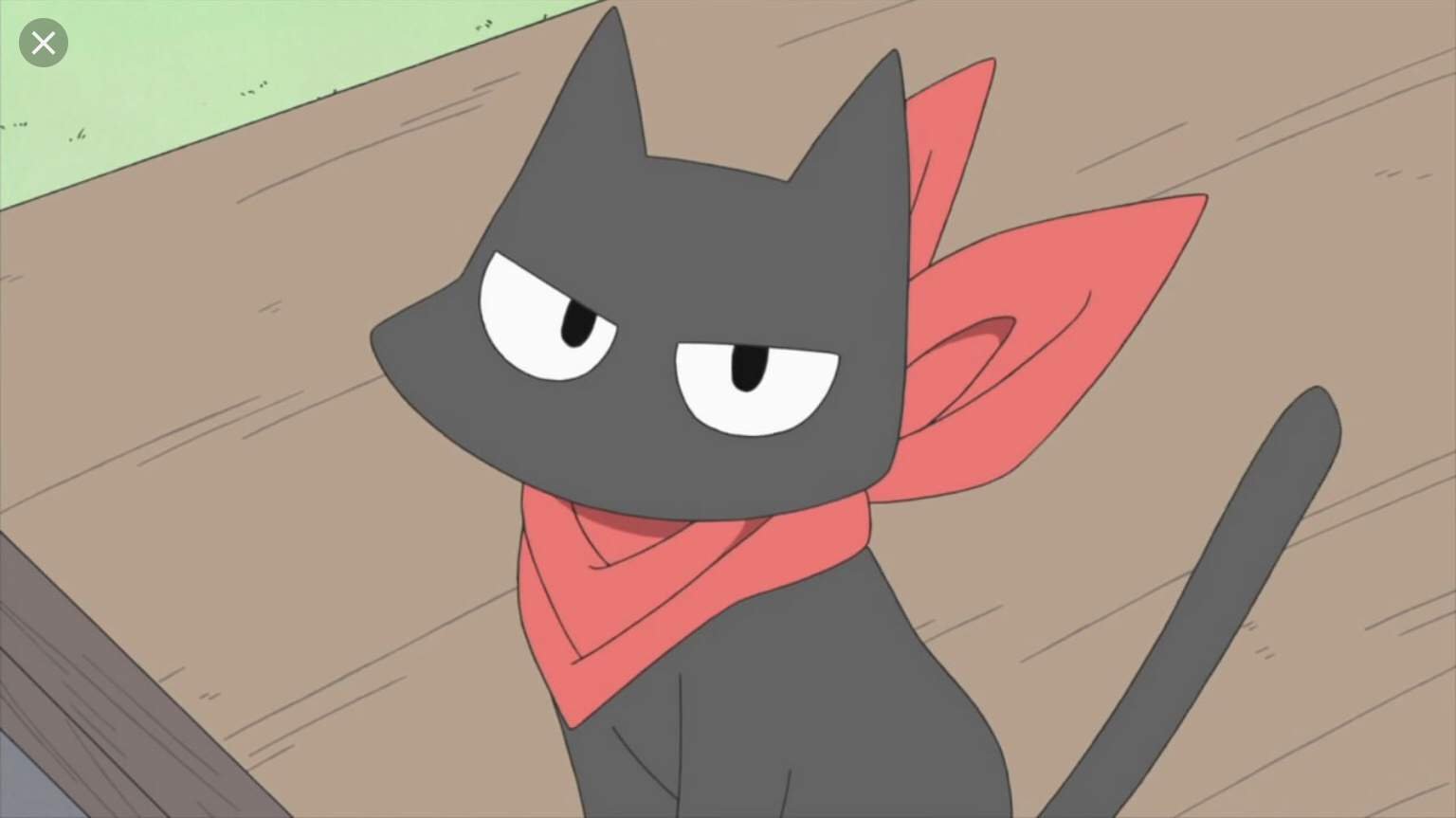 Top 17 Cutest Anime Cats - Anime Rankers